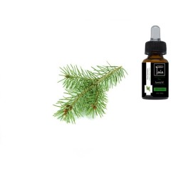 Pine  Essential Oil