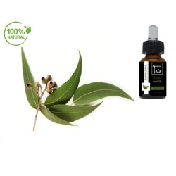 Eukalyptus Essential Oil